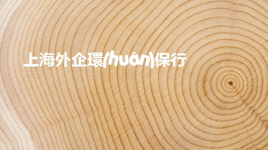 上海外企環(huán)保行業(yè)現(xiàn)狀與未來(lái)趨勢(shì)，全面解讀
